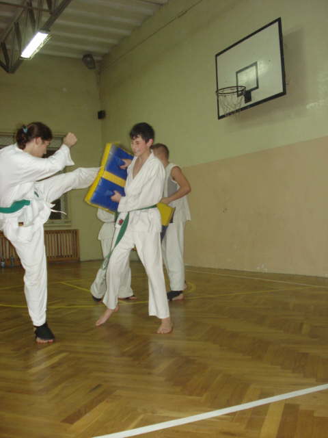 Trening grupy m?odziezowej Karate (13)